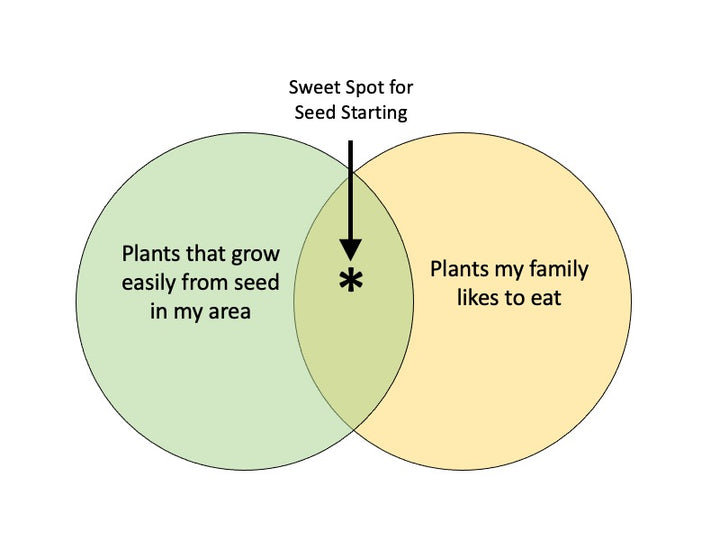 How to Start Seeds When You're Time Constrained