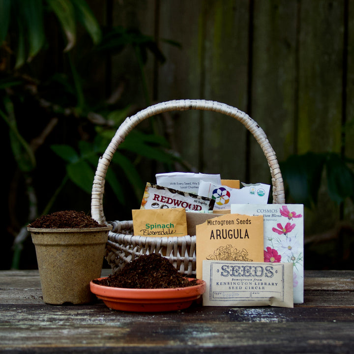 Seeds and Soil