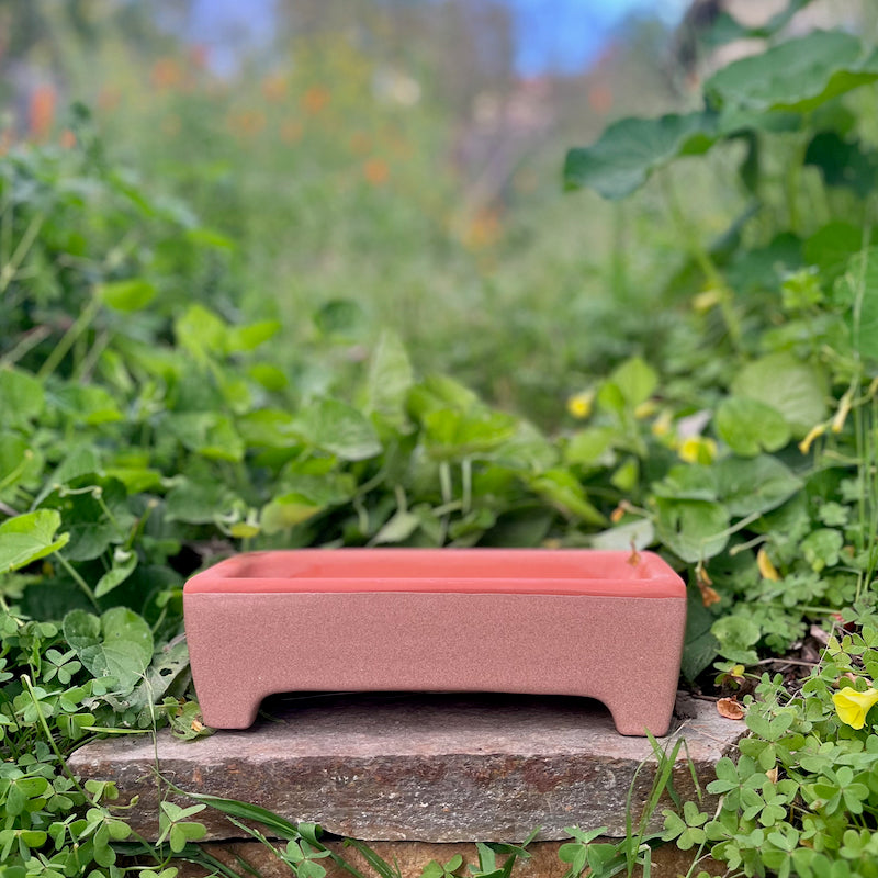 Rectangle Self-Watering Seed Tray – Orta Gardens