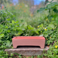 Rectangle Self-Watering Seed Tray