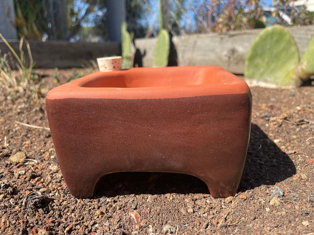 Square Self-Watering Seed Tray