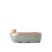 Sixie Self-Watering Seed Pot