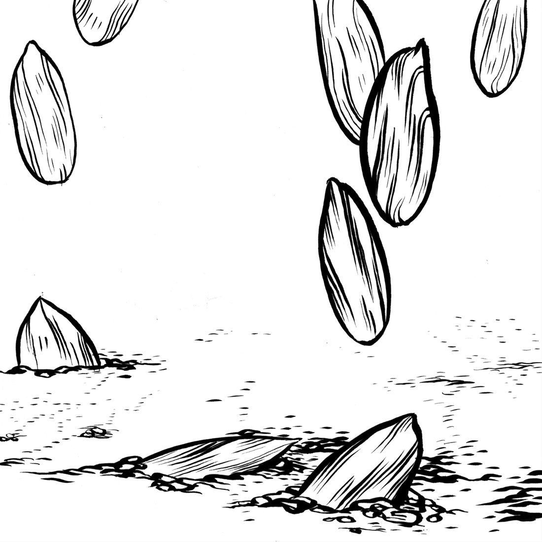 Orta Seed Club Membership