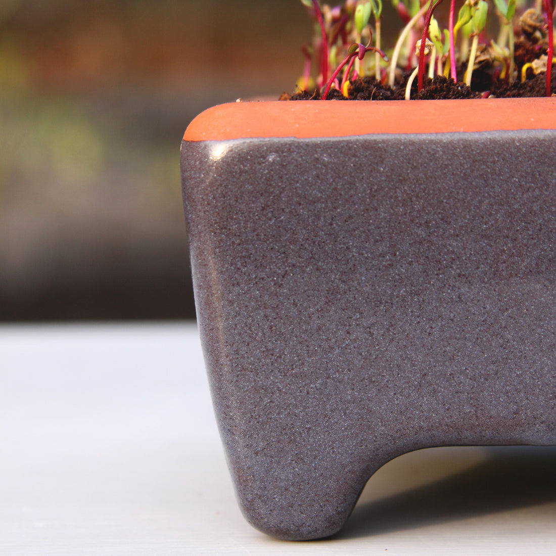 Factory Second Microgreen Kit, Non-Toxic and Self Watering