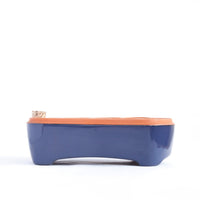 Self-watering seed pot | Terracotta seed tray no plastic | Cobalt color - bright blue self-watering pot | Orta 12-Pack