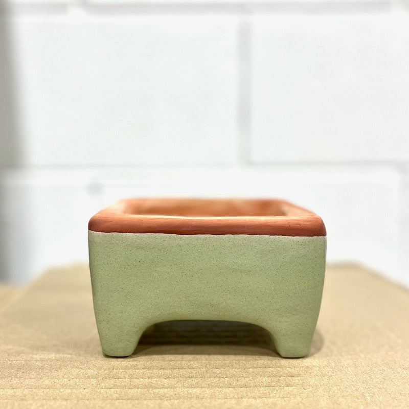 Flash Sale! 35% Off (ended July 28, 2024 at 9:00 pm) Square Self-Watering Seed Tray