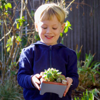 Flash Sale! 35% Off (ended July 28, 2024 at 9:00 pm) Square Self-Watering Seed Tray