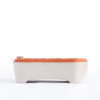 Self-watering seed pot | Terracotta seed tray no plastic | Stinson color - off white self-watering pot | Orta 12-Pack