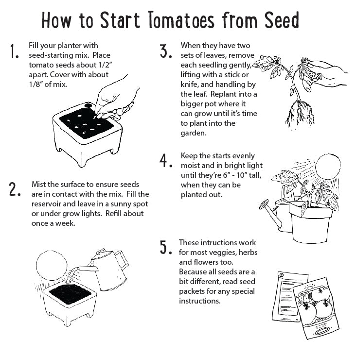 Factory Second Microgreen Kit, Non-Toxic and Self Watering