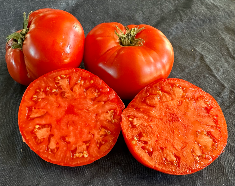 Special Order Tomato SIX Variety Sampler Pack – Orta Gardens