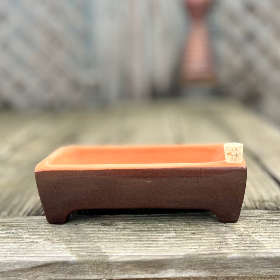 Rectangle Self-Watering Seed Tray