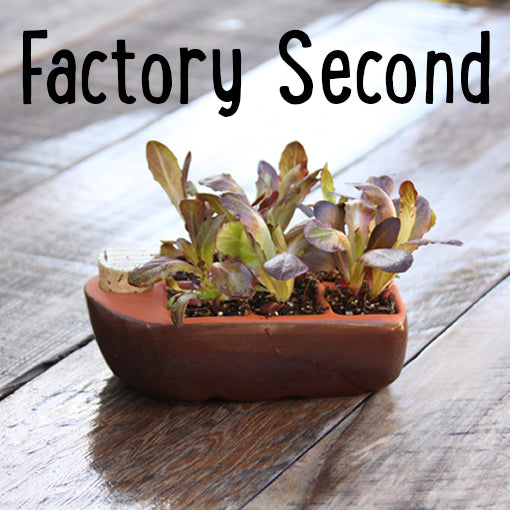 Factory Second Sixie