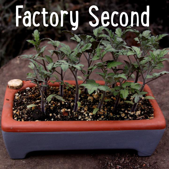 Factory Second Rectangle Seed Tray