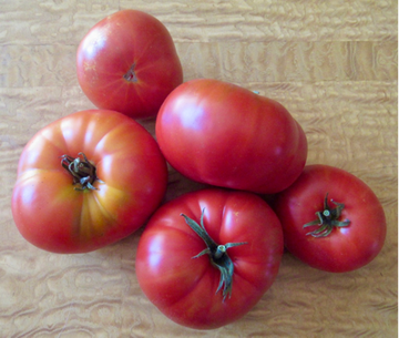 American Idol Tomato Seeds - Organic