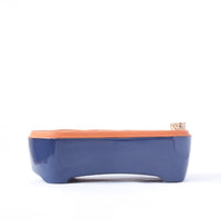 Self-watering seed pot | Terracotta seed tray no plastic | Cobalt color - bright blue self-watering pot | Orta 12-Pack