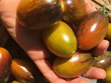 Brad's Atomic Grape Tomato seeds