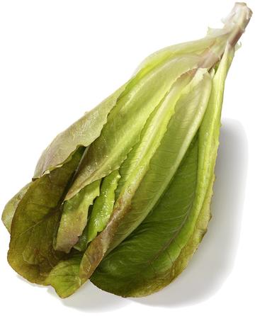 Orta Seed Club