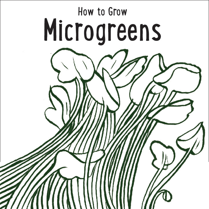 Microgreen Kit, Zero Waste and Self Watering