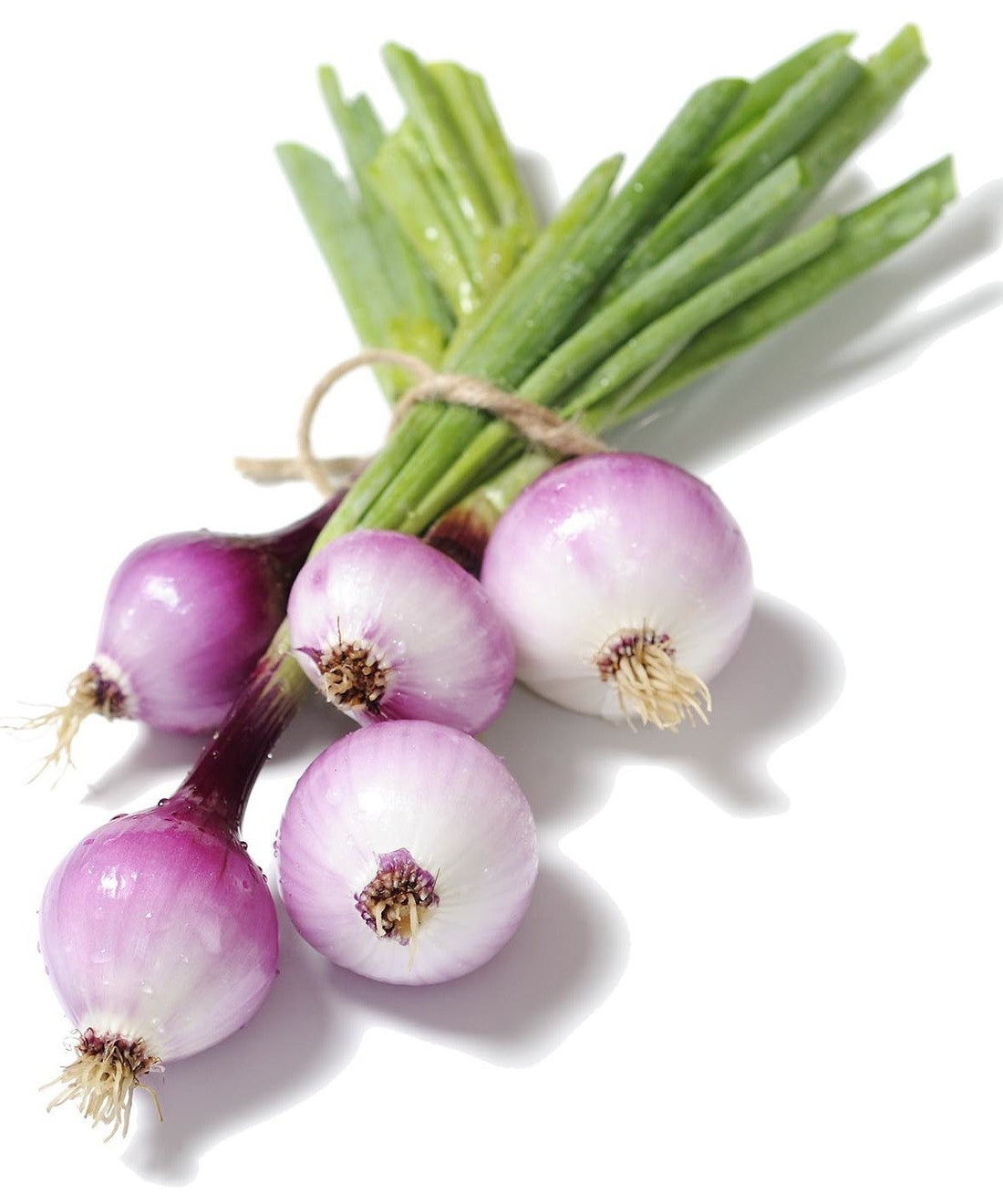 Organic Purplette Onion seeds