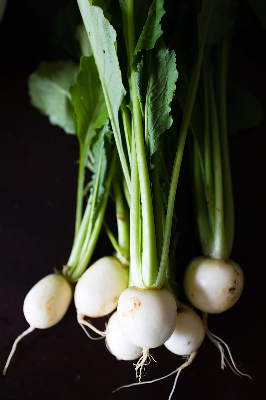 Organic Tokyo Turnip Seeds