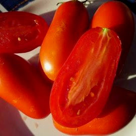 Organic Tomato: Milano Plum Paste