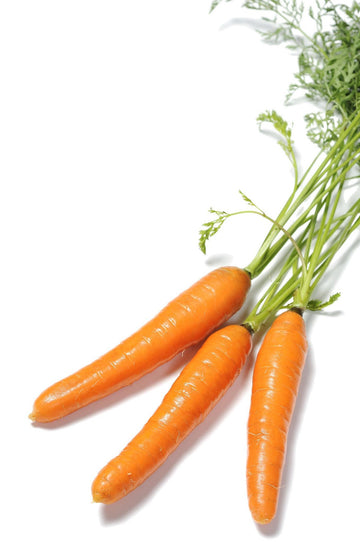 Organic Scarlet Nantes Carrot seeds